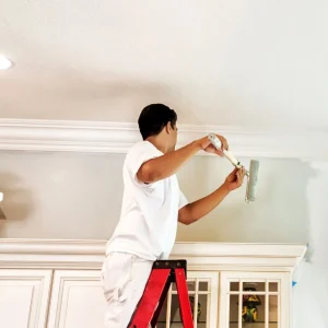 painting-services-in-burnaby painting-services-in-burnaby
