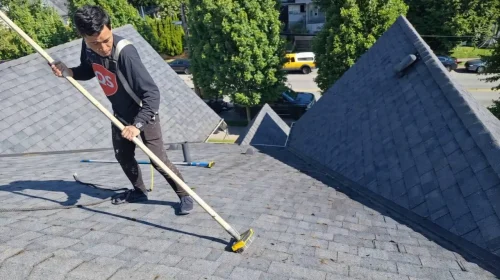 Professional roof cleaning vancouver BC, Quicksidekick