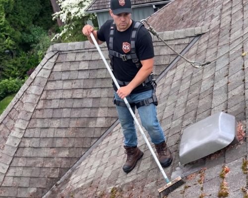 roof cleaning a technician from quicksidekick in vancouver bc