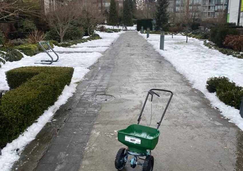 driveway snow removal